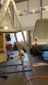 28643460_1537922602991797_1286099995_o