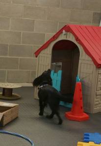 28938468_1552288101555247_1345316862_o