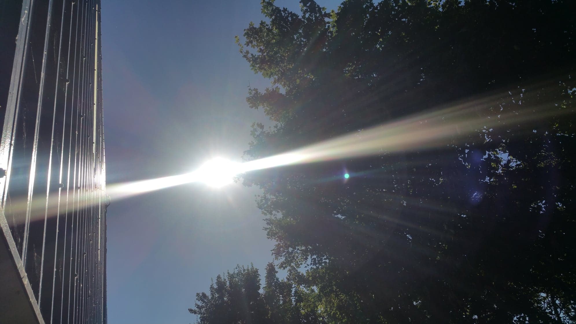 36395627_1671422832975106_455059296909000704_n