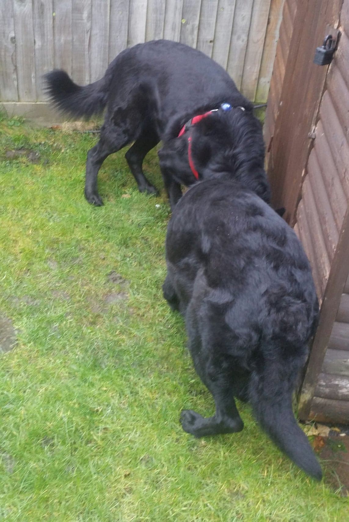 48281463_975911409260127_2941223982604484608_n