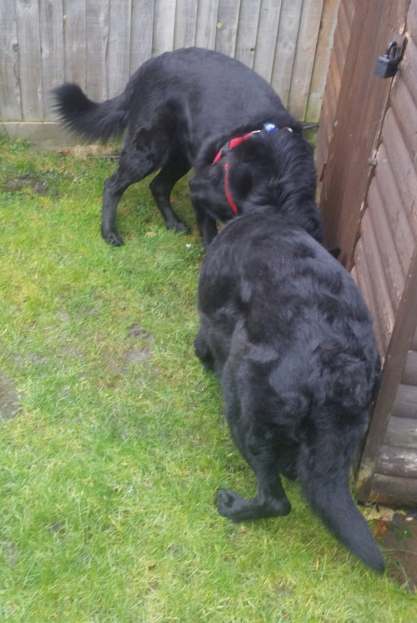 48281463_975911409260127_2941223982604484608_n