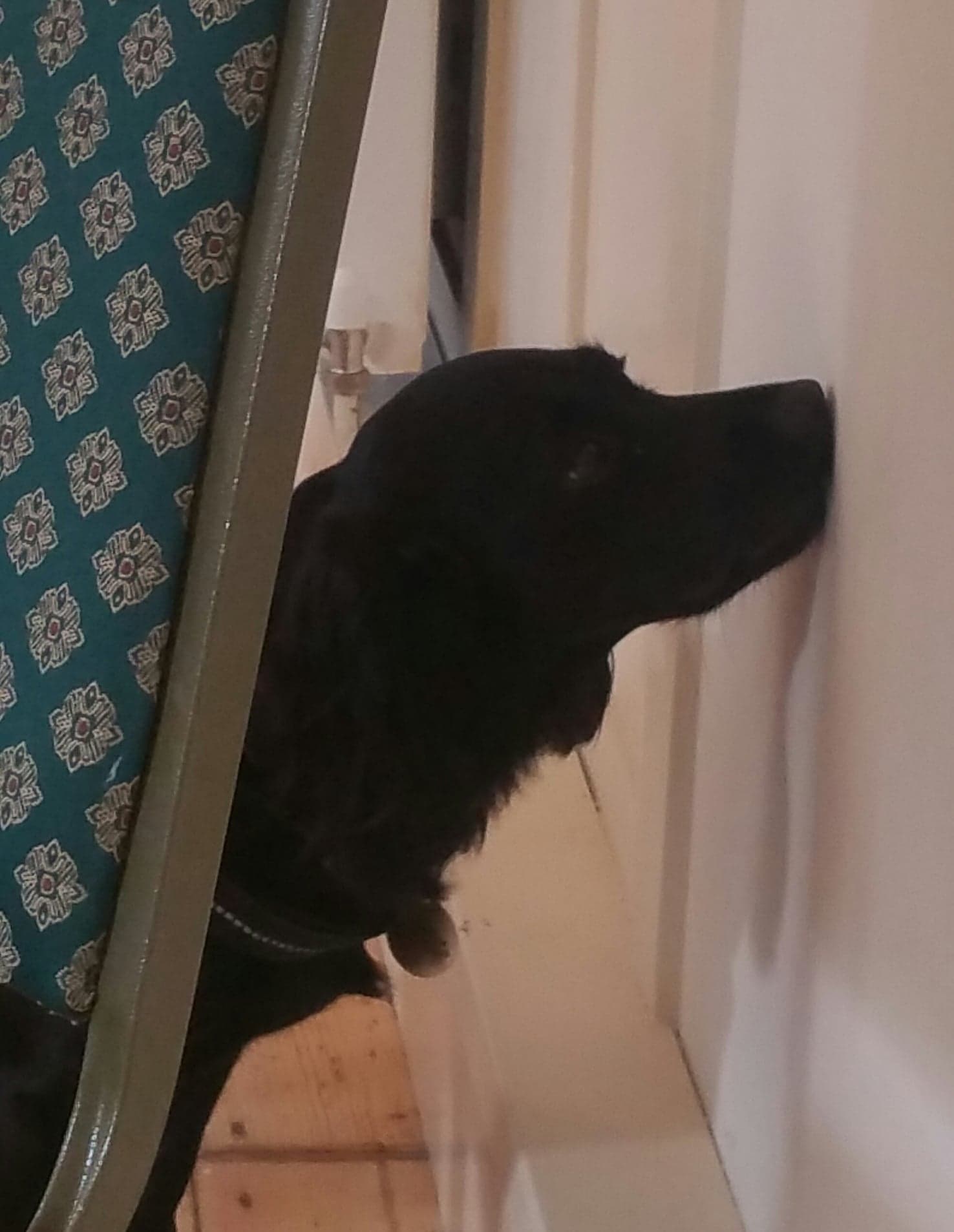 46511111_1097944070380282_9160313034957127680_n