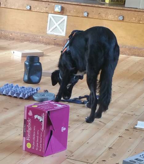 46814553_255742775097900_4702280699904786432_n