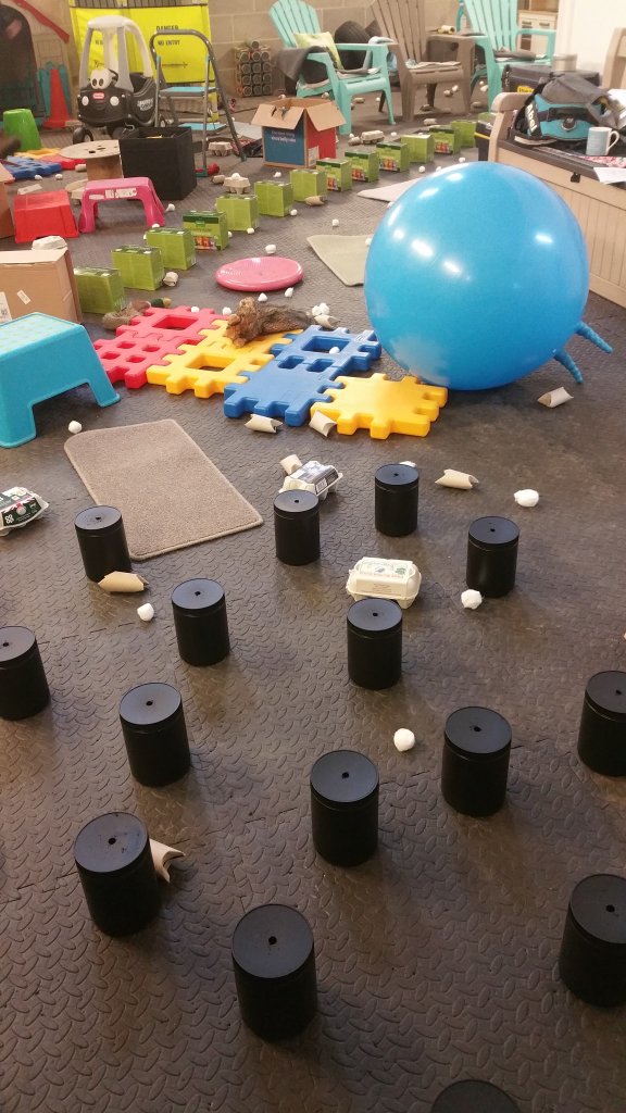 69146752_2393027180969659_426621021362061312_o