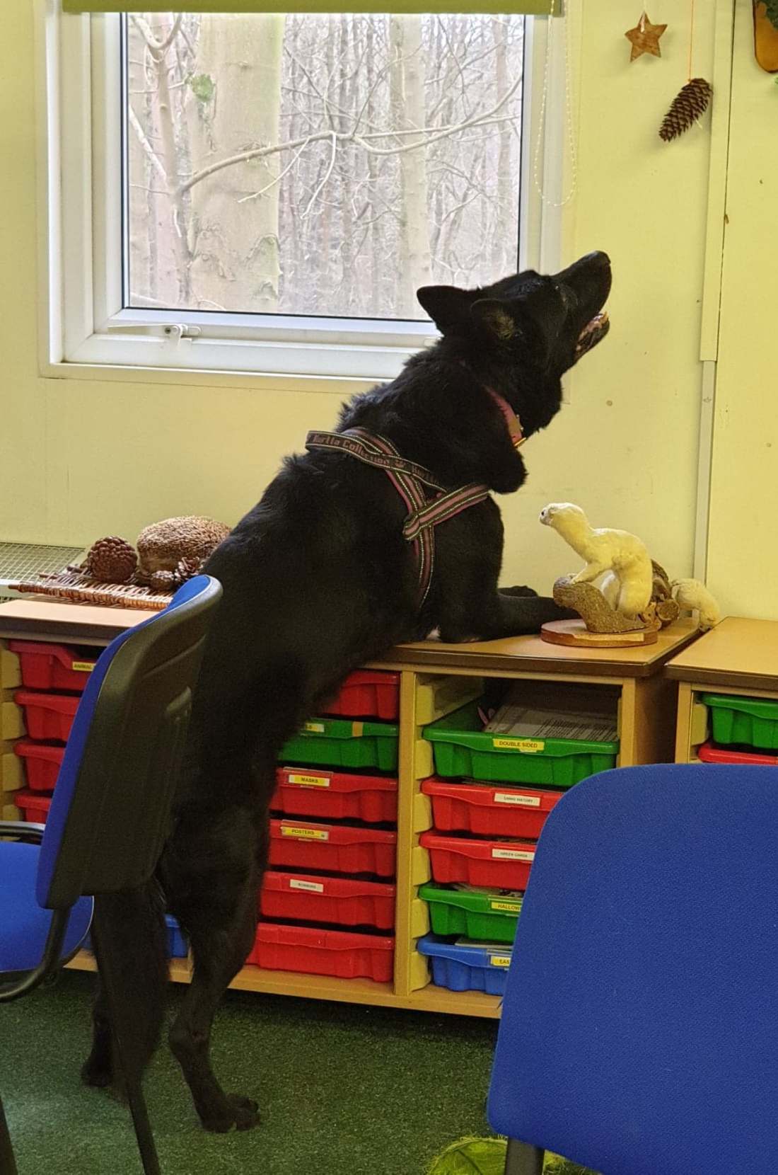 94038112_155203892575245_4692329715946487808_n (1)