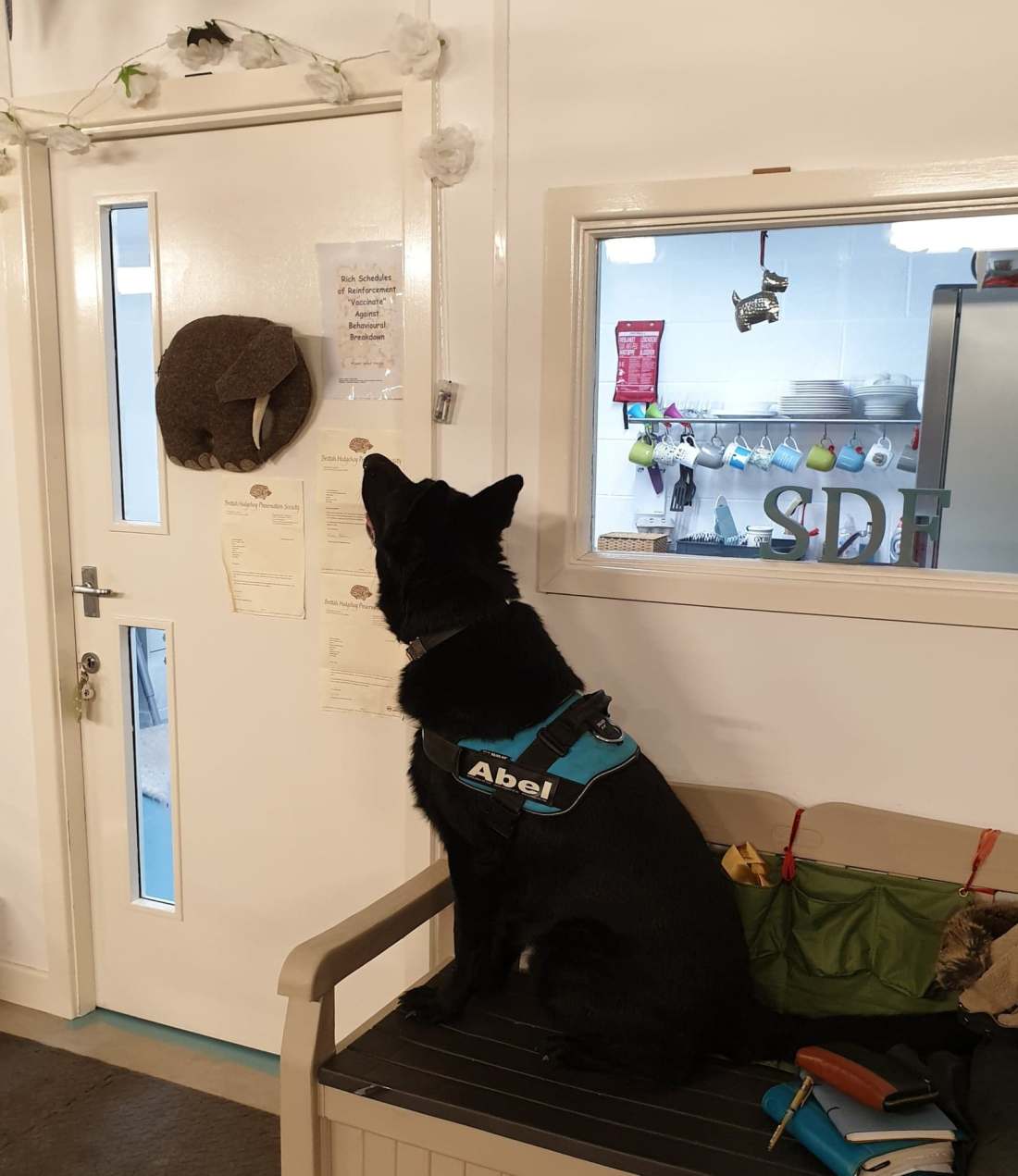 95337745_236968320874579_2635501037879820288_n