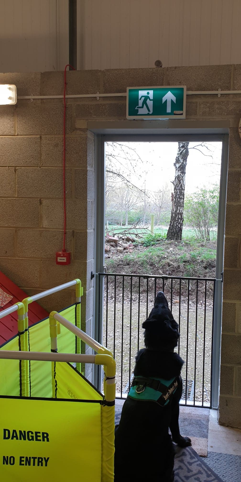 95441120_239969753749500_4356038587033059328_n