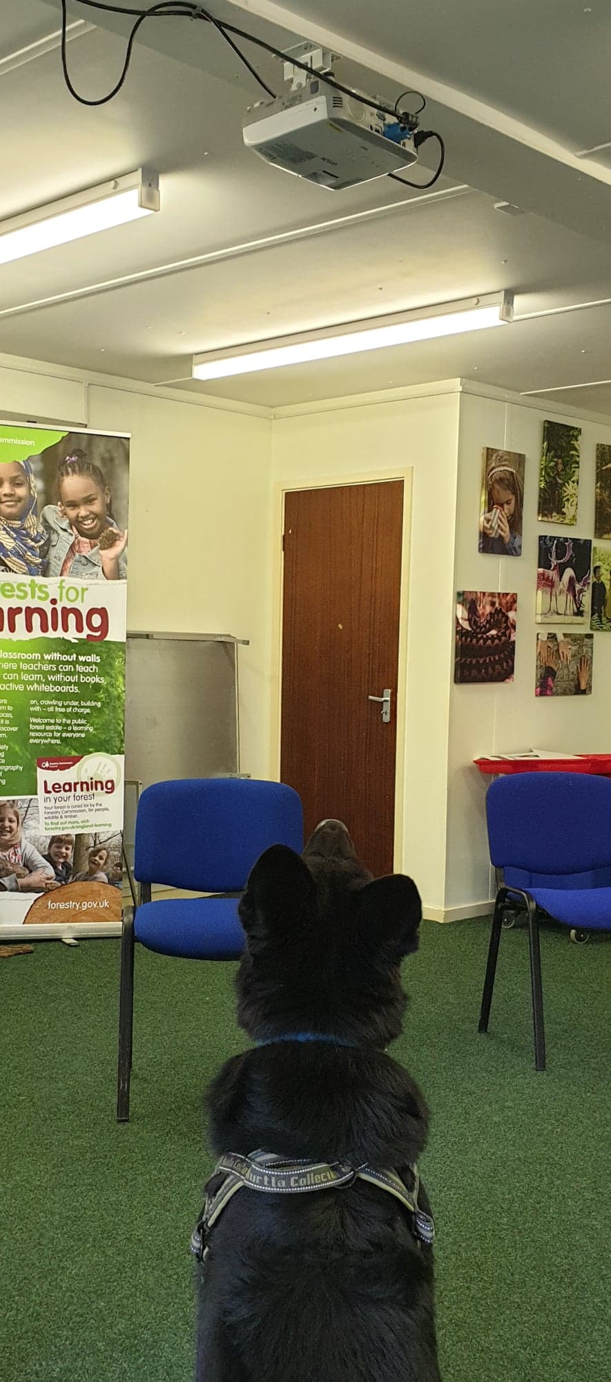 95598621_228257311795180_8577017271698849792_n