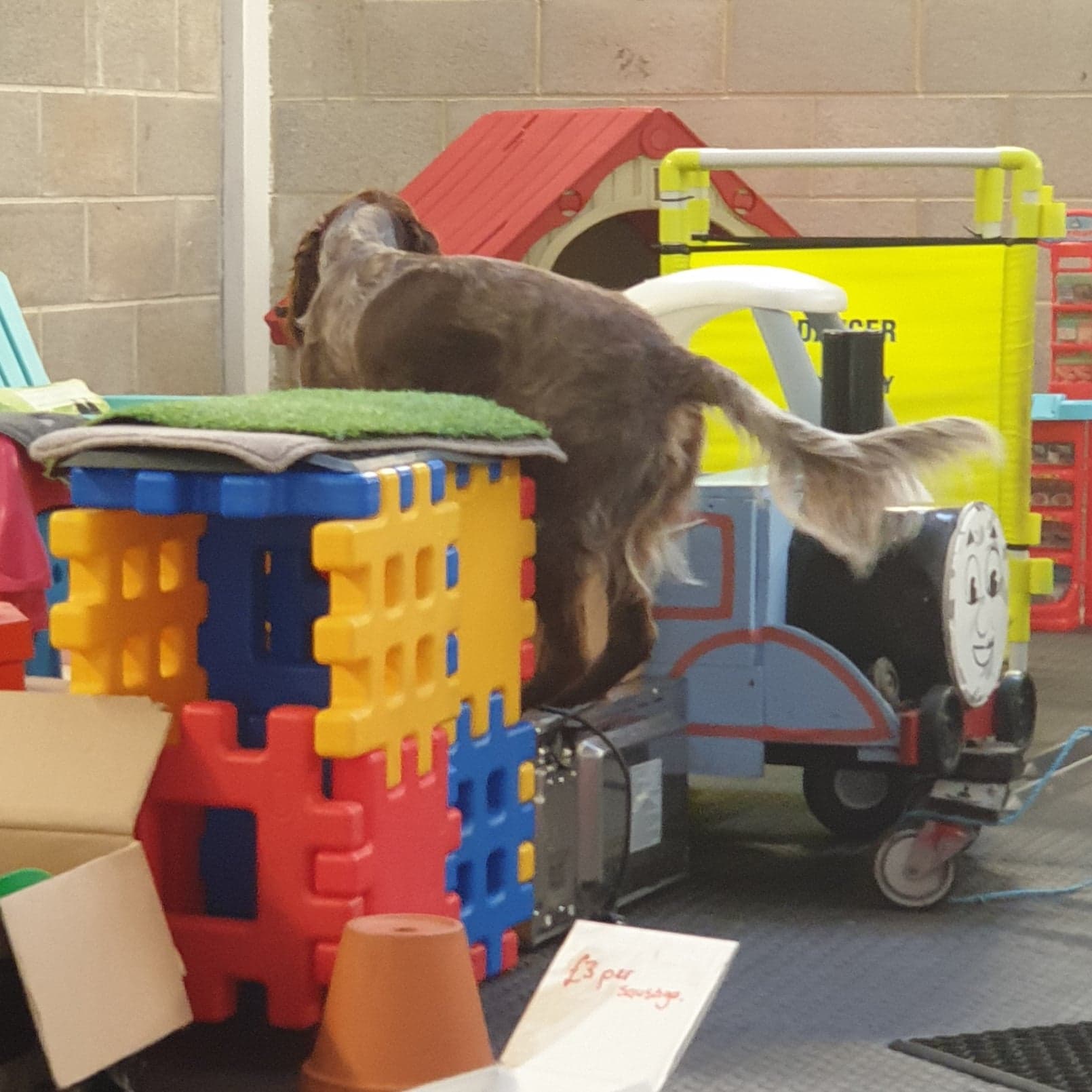 115905299_2223259624465662_9162441702349489322_n