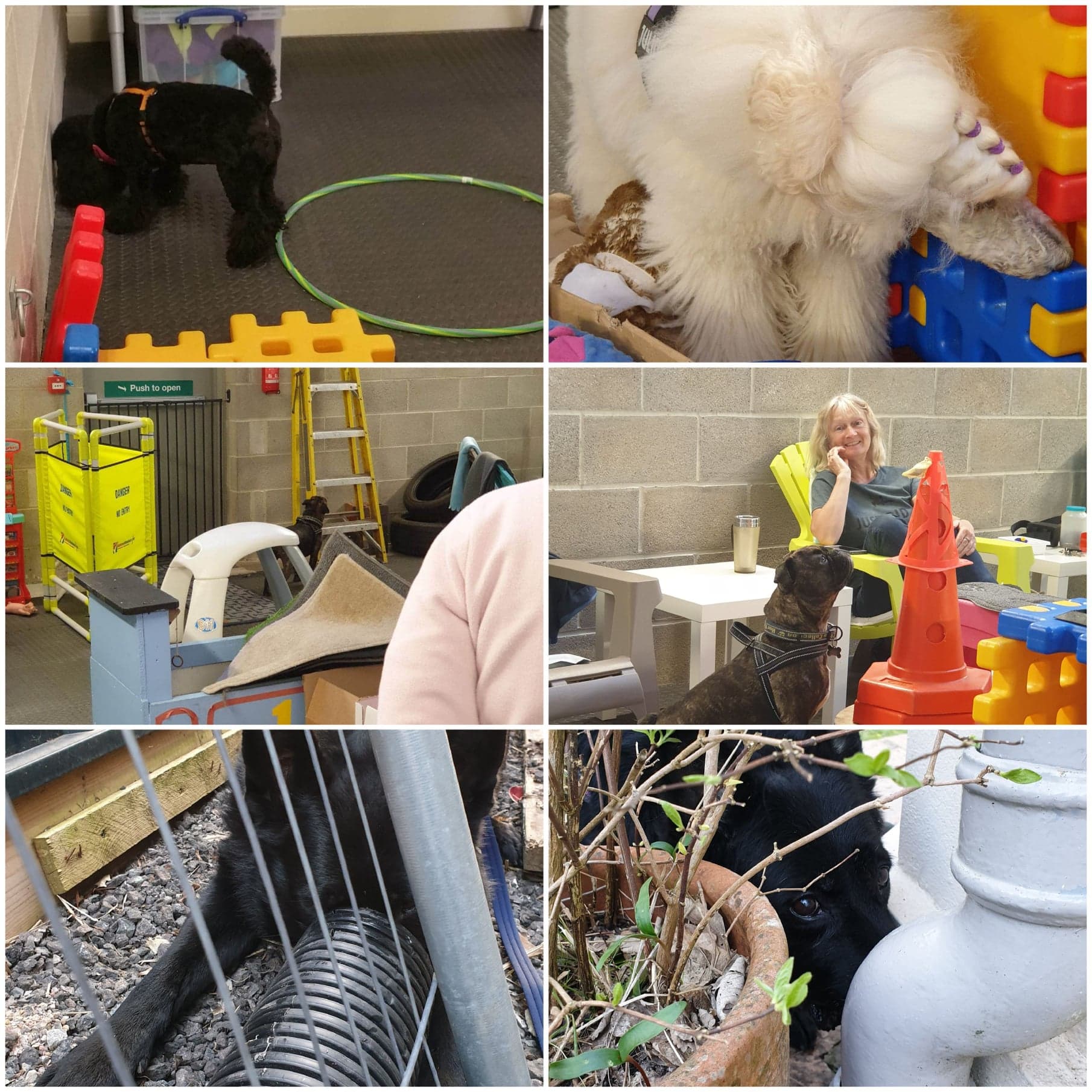 116091377_895642930929129_8737865046044396887_n