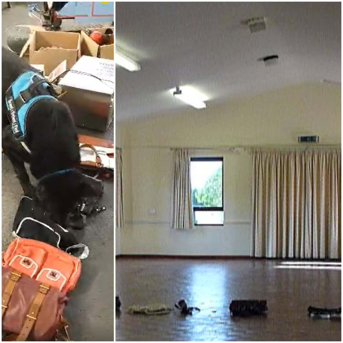 116327108_291650978613061_713089937252105144_n