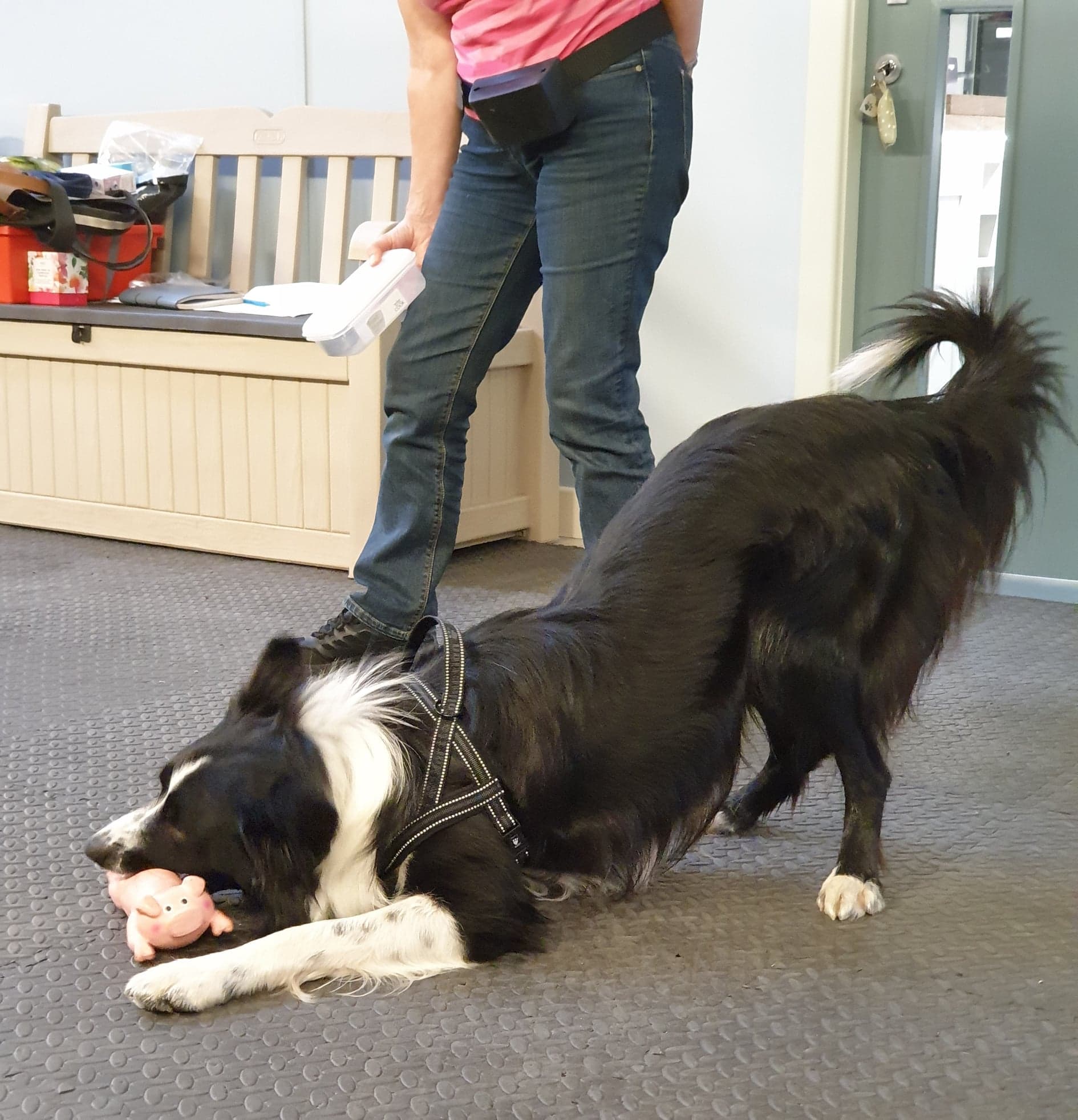 116358251_906398003184010_3262649028382065844_n