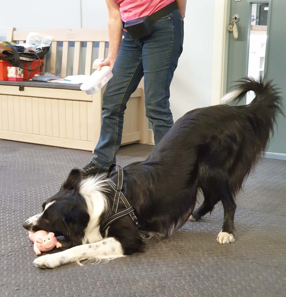 116358251_906398003184010_3262649028382065844_n