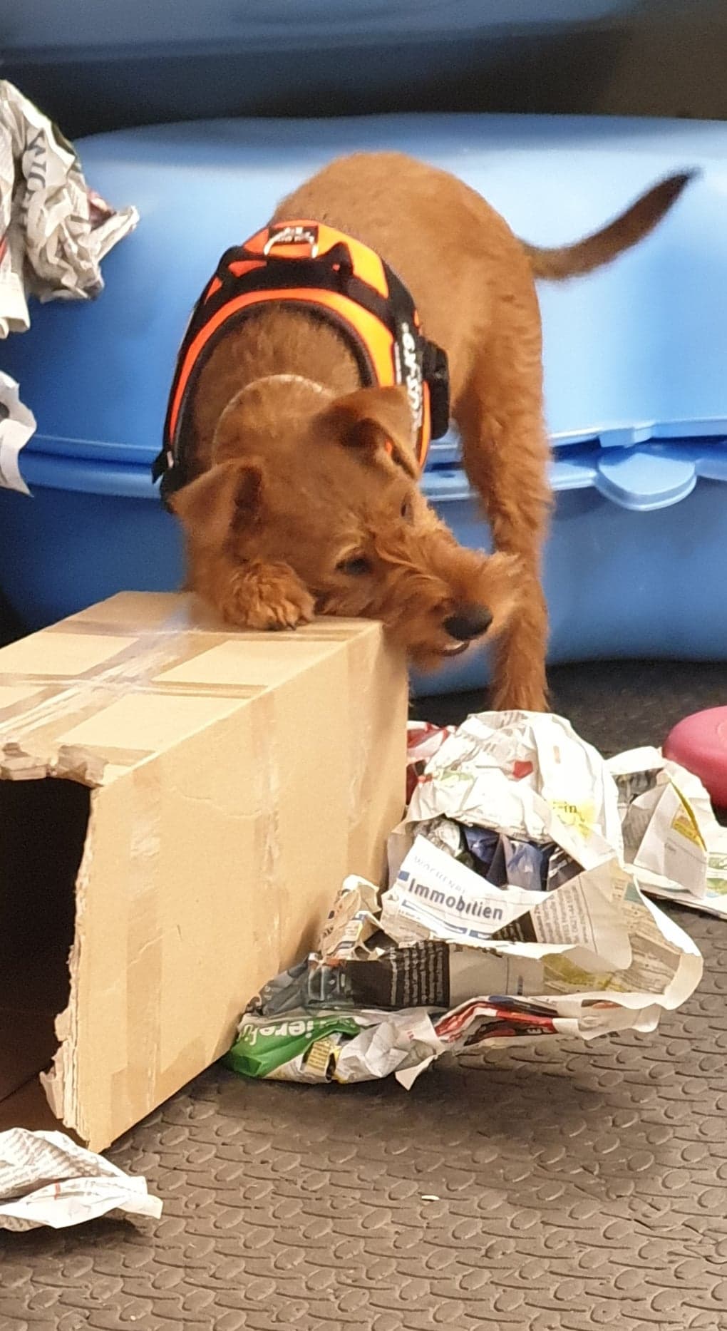 117866790_624313425181381_8785286294227047192_n