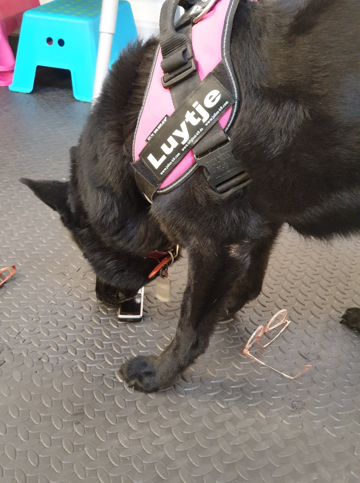 117912623_223060265768875_5879640540067516656_n