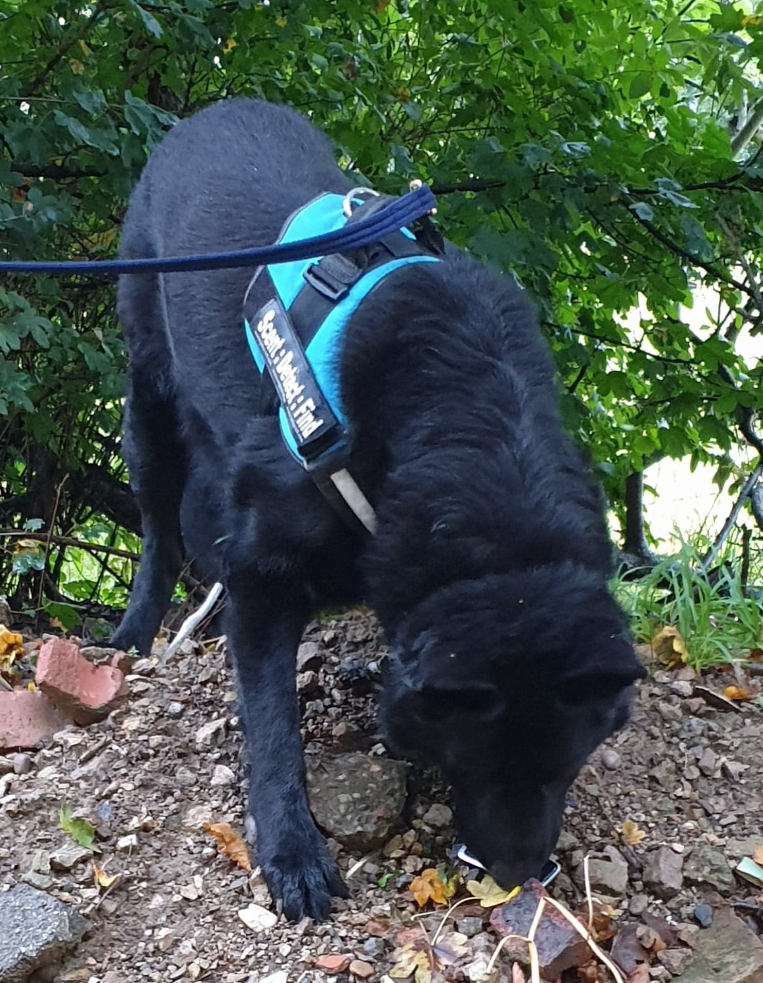 117956468_4479175328789160_324224961928398989_n (1)