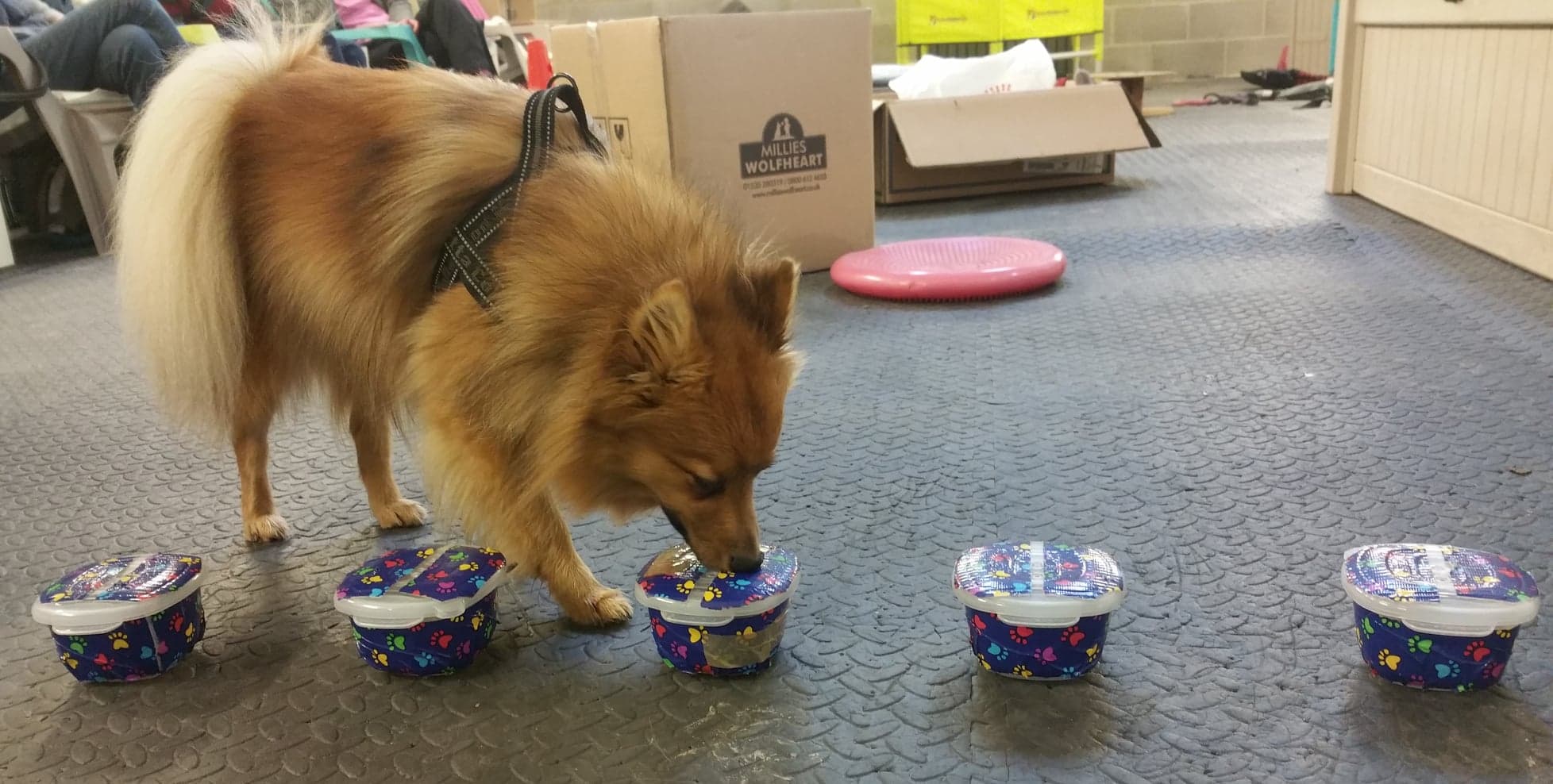 156719588_231339938661889_913839513036941995_n