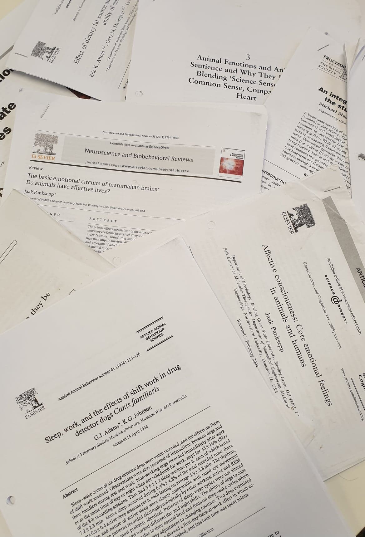 164297489_521384458848906_1000281665262108461_n