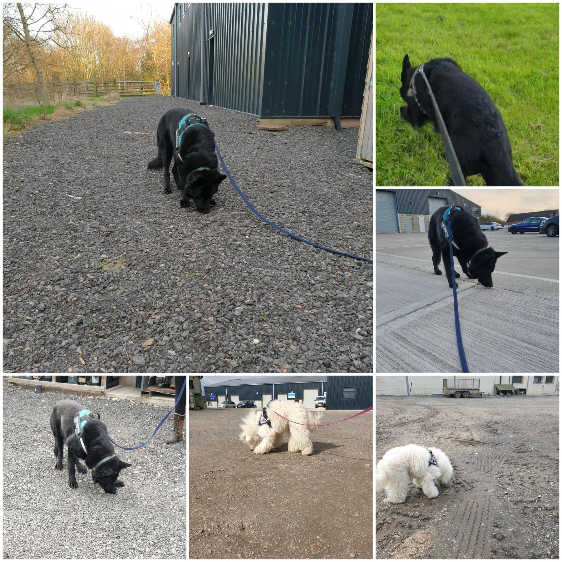 165899273_146598967371936_7228265226147785982_n