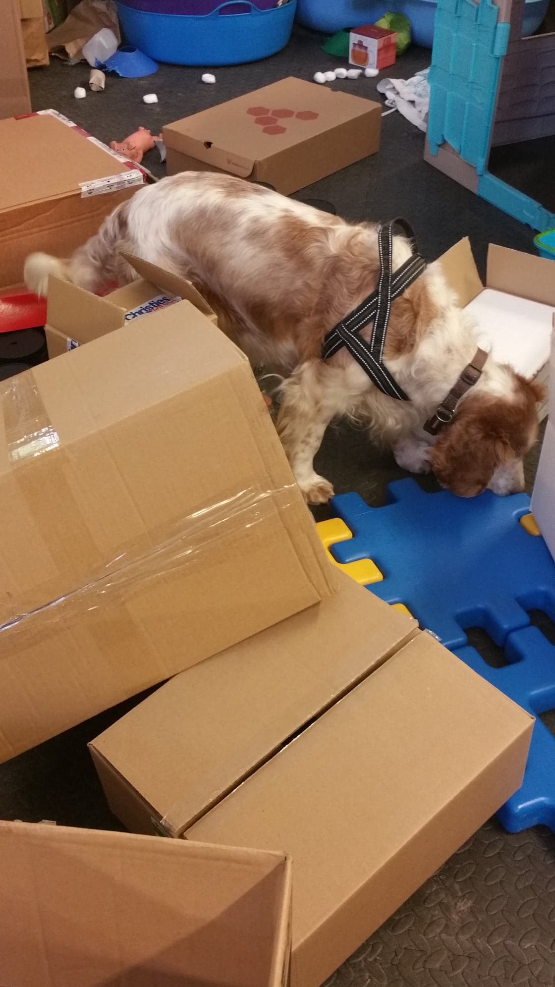 166105070_809976126532373_1485946647310608372_n