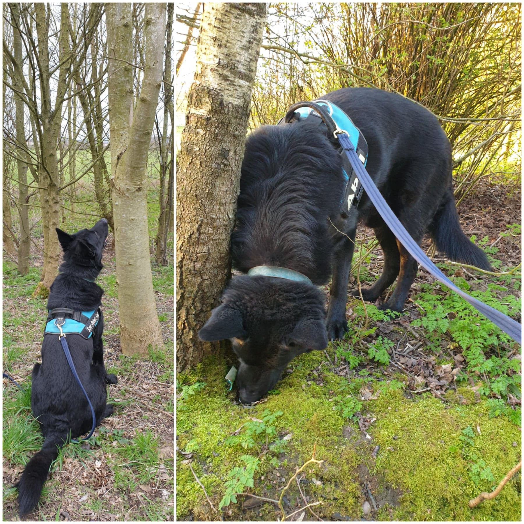 166180969_474687053708516_6156476063276078709_n